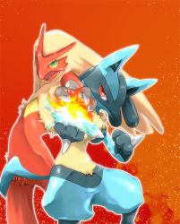 ayumu3 blaziken fighting_stance fire furry gen_3_pokemon gen_4_pokemon lucario nintendo pokemon pokemon_(creature) teamwork