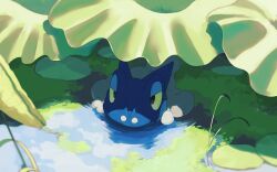 Rule 34 | blurry, commentary request, day, frogadier, gen 6 pokemon, highres, kura (shironagasu02), nintendo, no humans, outdoors, pokemon, pokemon (creature), pokemon focus, reflection, ripples, solo, water, yellow eyes