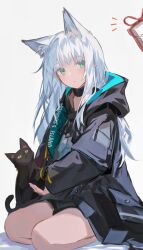 Rule 34 | 1girl, absurdres, animal ear fluff, animal ears, arknights, bare legs, black cat, black coat, black shorts, cat, coat, commentary request, feet out of frame, from behind, gift, green eyes, highres, hood, hooded coat, koshka pic, long hair, looking to the side, notice lines, rosmontis (arknights), shorts, sidelocks, simple background, surprised, white background, white hair