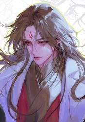 1boy absurdres black_hair black_hanfu branch chinese_clothes closed_mouth coat facial_mark forehead_mark hanfu highres jigam long_hair looking_ahead luo_binghe male_focus outline red_eyes renzha_fanpai_zijiu_xitong solo upper_body white_coat yellow_outline zuiyin