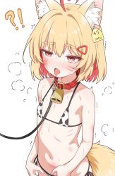 !? 1girl absurdres animal_ears animal_print bell bikini blonde_hair blush bruise bruise_on_arm bruise_on_face bruise_on_stomach collar colored_inner_hair cow_print cow_print_bikini cowbell facial_mark fang flat_chest fox_ears fox_girl fox_tail highres injury leash multicolored_hair name_tag navel open_mouth original pain pink_eyes print_bikini red_hair saho_4545 short_hair skin_fang slave steaming_body stomach sweat swimsuit tail tears tongue tongue_out trembling whisker_markings