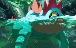 Rule 34 | afloat, air bubble, bubble, claws, closed mouth, commentary request, day, fangs, fangs out, feraligatr, gen 2 pokemon, kura (shironagasu02), looking to the side, nintendo, no humans, outdoors, partially underwater shot, pokemon, pokemon (creature), pokemon focus, solo, water, yellow eyes