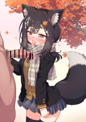 1boy 1girl after_fellatio animal_ears bar_censor black_hair black_jacket black_thighhighs blue_skirt bow bowtie breasts brown_eyes brown_sweater censored commission cum cum_in_mouth cum_on_body cum_on_tongue diagonal-striped_bow diagonal-striped_bowtie diagonal-striped_clothes facial fellatio grey_scarf hair_ornament hairclip hetero highres jacket large_variant_set layered_sleeves leaf_hair_ornament long_sleeves male_pubic_hair medium_hair miniskirt oral original penis plaid_clothes plaid_scarf plaid_skirt pleated_skirt pubic_hair red_bow red_bowtie scarf skeb_commission skirt small_breasts striped_clothes sweater tail testicles thighhighs variant_set wodaex wolf_ears wolf_girl wolf_tail