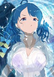 1girl :o absurdres ahoge blue_bow blue_bowtie blue_hair bow bowtie bra bra_peek bra_visible_through_clothes breasts collarbone collared_shirt highres lace lace_bra large_breasts make_heroine_ga_oo_sugiru! medium_hair partially_submerged purple_bra school_uniform shirt solo summer_uniform tile_floor tiles tsuwabuki_high_school_uniform underwear unworn_bowtie upper_body v-shaped_eyebrows water white_shirt yakatamichi yanami_anna yellow_bow yellow_bowtie