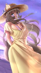 Rule 34 | 1girl, animal ears, beach, blue eyes, blunt bangs, breasts, brown hair, cat ears, cat girl, cat tail, cloud, cloudy sky, dress, hat, large breasts, long hair, looking at viewer, original, purple sky, see-through clothes, see-through dress, simple background, sky, smile, star (sky), straw hat, sunset, tail, takie, takie arts, very long hair, wind, yellow dress