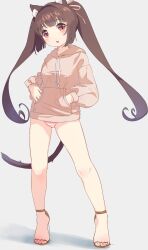 Rule 34 | 1girl, absurdres, alternate costume, animal ear fluff, animal ears, barefoot, bi neko706, blunt bangs, blush, brown eyes, brown hair, brown sandals, cat ears, cat girl, cat tail, chestnut mouth, chocola (nekopara), commentary request, full body, grey background, hair ribbon, hand in pocket, highres, hood, hood down, hoodie, long hair, long sleeves, looking at viewer, nekopara, no pants, open mouth, panties, pink hoodie, pink panties, pink ribbon, ribbon, sandals, simple background, sleeves past wrists, slit pupils, solo, standing, striped clothes, striped panties, tail, tareme, tiptoes, toenails, toes, twintails, underwear, very long hair