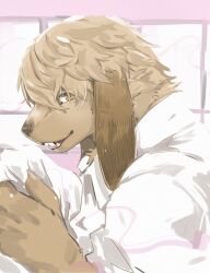 1boy animal_ears brown_eyes claws dog_boy dog_ears fangs furry furry_male highres holding holding_unworn_clothes looking_at_viewer male_focus noi_(smell) open_mouth profile shirt sisijimakarashi smell_(nagabe) smile upper_body white_shirt