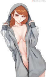 1girl boosty_username breasts brown_eyes brown_hair collarbone commentary cowboy_shot english_commentary grey_hoodie highres hood hoodie long_sleeves looking_at_viewer medium_breasts medium_hair midriff n7grey naked_hoodie navel no_bra no_panties open_clothes open_hoodie parted_lips persona persona_3 persona_3_reload simple_background solo stomach swept_bangs takeba_yukari twitter_username white_background