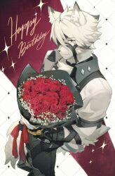 1boy absurdres animal_ear_fluff animal_ears arm_belt baby&#039;s-breath belt black_belt black_choker black_gloves body_fur bouquet choker closed_mouth collared_vest commentary_request eyepatch fingerless_gloves flower furry furry_male gloves grey_hair grey_pants grey_vest grid_background hair_between_eyes happy_birthday highres holding holding_bouquet looking_at_viewer male_focus multicolored_hair muzzle_(mask) okonon_(kado_colda) one_eye_covered pants red_background red_eyes red_flower red_ribbon red_rose ribbon rose shirt short_hair short_sleeves simple_background smile solo sparkle streaked_hair tail tail_belt vest von_lycaon white_background white_fur white_hair white_shirt wolf_boy wolf_ears wolf_tail zenless_zone_zero