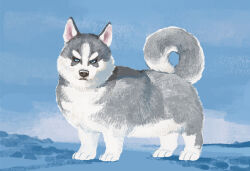 animal_focus blue_eyes closed_mouth dog from_side husky looking_at_viewer looking_to_the_side nishimawari_kouro no_humans original solo