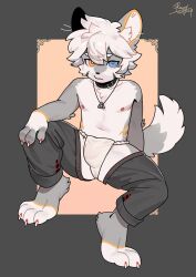 1boy animal_collar arm_at_side border borrowed_character bright_pupils bulge closed_mouth collar colored_lineart commission covered_penis crotch_focus crotchless crotchless_pants dated digitigrade dog_boy double-parted_bangs flipped_hair full_body fundoshi furry gluteal_fold grey_border grey_fur grey_pants hand_on_own_knee heterochromia highres invisible_chair japanese_clothes jewelry legs_apart looking_at_viewer lucky456852 male_focus male_underwear necklace nipples original outside_border pants pink_background short_hair signature sitting solo two-tone_tail underwear white_fur white_hair white_pupils yellow_fur