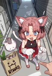 ! 1girl 1other :3 ^^^ animal_ear_fluff animal_ears animal_hands armpit_crease bag bare_shoulders beer_can blue_eyes bow can cat_(nyanko_daisensou) cat_ears cat_girl cat_tail commentary dress drink_can drooling ebora english_commentary fangs flat_chest furrowed_brow gloves hair_bow highres holding holding_can looking_at_viewer moneko_(nyanko_daisensou) mouth_drool nyanko_daisensou open_mouth outdoors paper_bag parted_bangs paw_gloves pink_eyes plastic_bag pointing short_hair sleeveless sleeveless_dress slippers spring_onion squiggle sweatdrop tail thighhighs white_thighhighs