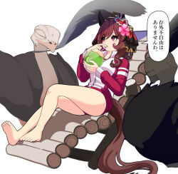 animal_ears barefoot bird braid braided_hair_rings brown_hair buruma closed_eyes commentary cup drinking ear_covers gentildonna_(umamusume) gym_uniform hair_rings heart-shaped_ornament heart_ear_ornament highres holding holding_cup horse_ears horse_girl jacket looking_to_the_side ne000000t ostrich red_buruma red_eyes red_jacket shade simple_background sitting tracen_training_uniform track_jacket translated umamusume white_background