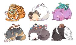 Rule 34 | alligator, animal, animal focus, animalk, baby animal, bird, cat, chinese commentary, commentary request, crab, crocodilian, curled up, finch, fluffy, head wreath, hedgehog, highres, hippopotamus, horns, no humans, original, otter, rabbit, sheep, sheep horns, simple background, skunk, tiger, white background, wolf