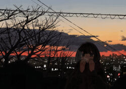 1girl absurdres bare_tree black_eyes black_hair black_jacket breath breathing_on_hands city city_lights cloud cold commentary_request dark_cloud evening gradient_sky hands_up highres jacket long_sleeves looking_at_viewer open_mouth orange_sky original outdoors power_lines red_sky scenery short_hair sky solo tree uniunimikan upper_body warming_hands winter