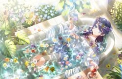 1girl bare_shoulders bathtub bikini blue_flower blue_hair blue_skirt braid closed_mouth collarbone cup daisy day flower flower_wreath from_above game_cg half_updo head_wreath her-bath-rium highres holding holding_cup in_bathtub indoors knees_up link!_like!_love_live! long_hair long_sleeves looking_at_viewer love_live! low-braided_long_hair low-tied_long_hair murano_sayaka navel non-web_source official_alternate_costume official_art orange_flower partially_submerged purple_flower side_braid skirt smile solo split_mouth swimsuit swimsuit_cover-up tea teacup teapot virtual_youtuber wet white_bikini white_flower window_shadow wooden_floor yellow_flower