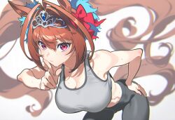 1girl absurdres animal_ears brown_hair daiwa_scarlet_(umamusume) highres horse_ears horse_girl horse_tail kisaragi_shokuin red_eyes solo sportswear sweat tail tiara twintails umamusume