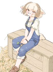 1girl animal_ears bare_arms blonde_hair blouse box brown_hair clover collarbone curly_hair denim four-leaf_clover full_body grin hay highres holding horizontal_pupils kemono_friends looking_at_viewer medium_hair multicolored_hair official_alternate_costume overalls own_hands_together puffy_short_sleeves puffy_sleeves sheep_(kemono_friends) sheep_ears shirt shoes short_sleeves simple_background sitting smile solo torento v_arms white_background wooden_box yellow_eyes