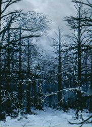 Rule 34 | 23i2ko, absurdres, bare tree, blurry, blurry foreground, bush, cloud, cloudy sky, dark, depth of field, forest, highres, nature, no humans, original, scenery, sky, snow, stick, tree, winter