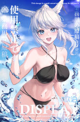 Rule 34 | absurdres, animal ears, bare shoulders, bikini, black bikini, blue sky, blush, cat ears, cloud, cloudy sky, cowboy shot, final fantasy, final fantasy xiv, highres, long hair, looking at viewer, miqo&#039;te, mole, mole under eye, morisenlin, navel, open mouth, outdoors, ponytail, sky, swimsuit, teeth, upper teeth only, water, water drop, white hair