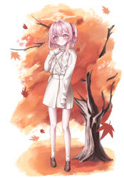1girl alternate_costume amerika_neko autumn autumn_leaves bag blue_archive blush brown_shoes casual closed_mouth commentary eyelashes falling_leaves feather_hair full_body hair_between_eyes hair_ribbon halo hand_up handbag high-waist_skirt highres leaf loafers looking_at_viewer maple_leaf no_headwear one_side_up outdoors pink_eyes pink_hair red_ribbon ribbon serina_(blue_archive) shoes skirt sleeves_past_wrists smile solo split_mouth standing sweater tree turtleneck turtleneck_sweater white_skirt white_sweater yellow_halo