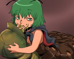 1girl antennae arthropod_girl black_cape brown_background cape commentary_request green_eyes green_hair looking_at_viewer monster_girl monsterification onikobe_rin red_cape short_hair solo touhou two-sided_cape two-sided_fabric upper_body wriggle_nightbug