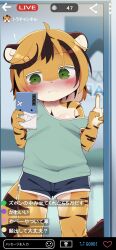 1girl absurdres animal_ears averting_eyes blush cellphone closed_mouth commentary dagasi fake_phone_screenshot fake_screenshot female_pov furry furry_female highres holding holding_phone large_variant_set livestream mirror_selfie original phone pov selfie shirt short_hair shorts single_bare_shoulder smartphone solo tail tiger_ears tiger_girl tiger_tail translation_request variant_set