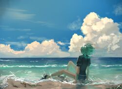 Rule 34 | 1other, aqua hair, arm support, beach, bike shorts, black jacket, black shorts, cloud, cloudy sky, cumulonimbus cloud, day, from behind, gem uniform (houseki no kuni), highres, houseki no kuni, jacket, ocean, other focus, outdoors, phosphophyllite, puffy short sleeves, puffy sleeves, short hair, short sleeves, shorts, sitting, sky, solo, tokagezanmai