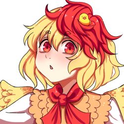 bird blonde_hair blush cape chicken dress eyes_visible_through_hair hair_between_eyes hanaarts looking_at_viewer niwatari_kutaka open_mouth orange_cape red_eyes red_hair red_neckwear short_hair simple_background touhou white_background white_dress wings
