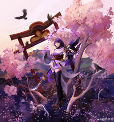 1girl absurdres animal animal_on_arm armor asymmetrical_sleeves bird bird_on_arm black_thighhighs blunt_bangs blurry blurry_background braid branch bridal_gauntlets cherry_blossoms chinese_commentary closed_mouth cloud cloudy_sky engulfing_lightning_(genshin_impact) genshin_impact gradient_hair hair_ornament hair_ribbon highres holding holding_polearm holding_weapon japanese_clothes kimono long_braid long_hair looking_at_viewer looking_to_the_side mitsudomoe_(shape) mole mole_under_eye multicolored_hair neck_ribbon off_shoulder outdoors petals pink_petals pink_sky polearm purple_eyes purple_kimono raiden_shogun red_ribbon red_sash reflection ribbon sash shade shoulder_armor single_braid sky solo standing sunset thighhighs thighs tomoe_(symbol) tree uneven_sleeves watermark weapon weibo_7038297791 weibo_watermark