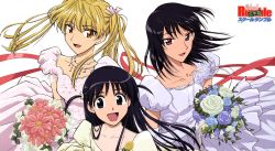 00s 3girls dress flower highres jewelry multiple_girls necklace ribbon sawachika_eri school_rumble siblings sisters tsukamoto_tenma tsukamoto_yakumo twintails wedding_dress