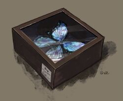 Rule 34 | box, brown background, bug, butterfly, commentary request, glass, highres, insect, no humans, object focus, original, shadow, signature, simple background, still life, yamabuki (haruirokerria)