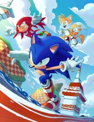 3boys animal_ears animal_nose blue_eyes blue_fur blue_sky chaosc0ntr0l cloud commentary day echidna_(animal) english_commentary flying fox_boy fox_tail furry furry_male gloves green_eyes hedgehog in-universe_location knuckles_the_echidna male_focus motion_blur motion_lines multiple_boys multiple_tails open_mouth outdoors red_fur red_shoes running seaside_hill shoes sky smile sneakers sonic_(series) sonic_heroes sonic_the_hedgehog spiked_knuckles tail tails_(sonic) tower tracy_yardley two_tails water white_gloves yellow_fur