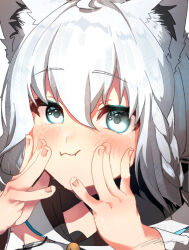 1girl animal_ear_fluff animal_ears aqua_eyes armpit_peek blush braid close-up closed_mouth detached_sleeves facing_viewer fingernails fox_girl hair_between_eyes hands_on_own_face hatching_(texture) hololive linear_hatching looking_at_viewer marimaru_sama portrait puffy_cheeks shirakami_fubuki shirakami_fubuki_(1st_costume) signature solo virtual_youtuber white_hair