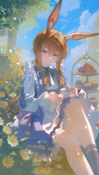 1girl alice_(alice_in_wonderland) alice_(alice_in_wonderland)_(cosplay) alternate_costume amiya_(arknights) animal_ear_fluff animal_ears apron arknights bingyuqin black_ribbon black_socks blue_dress blue_eyes brown_hair closed_mouth cosplay cup dress hair_between_eyes highres holding holding_cup holding_plate kneehighs long_hair looking_at_viewer outdoors plate rabbit_ears rabbit_girl ribbon sidelocks single_sock smile socks solo white_apron