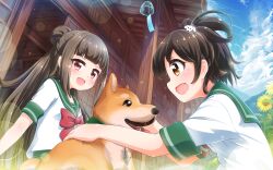 2girls absurdres animal battle_girl_high_school blush bow brown_hair cloud dog dog_hair_ornament fang flower fujimiya_sakura hair_bun hair_ornament highres light_particles long_hair minami_hinata multiple_girls open_mouth petting ponytail red_bow red_eyes school_uniform serafuku shiba_inu shirt sideways_mouth single_hair_bun summer sunflower tamanegi_(12030028) thick_eyebrows white_shirt wind_chime