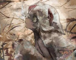 Rule 34 | 1girl, animal ears, body fur, bug, butterfly, claws, dark-skinned female, dark skin, faputa, from side, gq40415378, grey fur, grey hair, highres, horns, insect, made in abyss, monster girl, profile, red horns, solo, yellow eyes