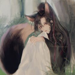 1boy ahoge animal_ears bishounen black_hair black_hanfu blanket blurry brown_hair chinese_clothes closed_mouth depth_of_field eyelashes fang fang_out forest fox_boy fox_ears fox_tail grass hair_between_eyes hair_ribbon hanfu highres holding holding_blanket implied_yaoi kemonomimi_mode long_hair long_sleeves looking_at_viewer male_focus modao_zushi nature ojisan_rbt outdoors ponytail purple_eyes red_ribbon ribbon robe sidelocks sitting smile solo tail tree watermark wei_wuxian wide_sleeves