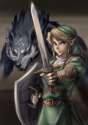 Rule 34 | 1boy, absurdres, alternate form, belt, blonde hair, blue eyes, brown belt, brown gloves, earrings, gloves, green tunic, grey fur, highres, holding, holding shield, holding sword, holding weapon, jewelry, link, nintendo, parted bangs, shield, shoulder belt, single arm guard, swept bangs, sword, takapon-o-ji, the legend of zelda, the legend of zelda: twilight princess, tunic, weapon, wolf link
