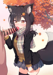 1boy 1girl animal_ears bar_censor black_hair black_jacket black_thighhighs blue_skirt bow bowtie breasts brown_eyes brown_sweater censored commission diagonal-striped_bow diagonal-striped_bowtie diagonal-striped_clothes fellatio grey_scarf hair_ornament hairclip hetero highres jacket large_variant_set layered_sleeves leaf_hair_ornament long_sleeves male_pubic_hair medium_hair miniskirt oral original penis penis_grab pinky_out plaid_clothes plaid_scarf plaid_skirt pleated_skirt pubic_hair red_bow red_bowtie scarf skeb_commission skirt small_breasts striped_clothes sweater tail testicles thighhighs variant_set wodaex wolf_ears wolf_girl wolf_tail