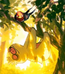 Rule 34 | aruco co, black eyes, branch, bush, claws, closed eyes, closed mouth, dappled sunlight, gen 3 pokemon, highres, in tree, leaf, looking at another, looking down, nintendo, no humans, outdoors, pokemon, slakoth, sleeping, smile, sunlight, taillow, tree, tree shade, upside-down