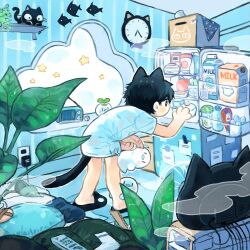 1boy animal_ears bent_over black_cat black_eyes black_hair black_slippers box bright_pupils cardboard_box cat cat_boy cat_ears cat_tail clock commentary_request controller cotono_(nazekun) egg electrical_outlet full_body highres indoors jar male_focus milk_carton neko-kun_(cotono_(nazekun)) original pillow plant potted_plant radio refrigerator remote_control shelf shirt short_hair short_sleeves slippers socks solo sprout standing star_(symbol) tail television unworn_socks white_pupils white_shirt white_socks window