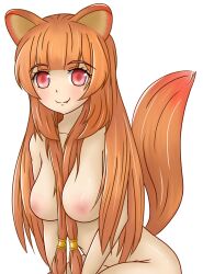 1girl animal_ears breasts long_hair midriff nipples nude purple_eyes raccoon_ears raccoon_girl raccoon_tail raphtalia tail tate_no_yuusha_no_nariagari transparent_background