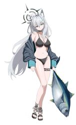 Rule 34 | absurdres, animal ear fluff, animal ears, black choker, black halo, blue archive, broken halo, choker, cross, cross hair ornament, dark halo, extra ears, grey hair, hair ornament, halo, highres, inverted cross, mismatched pupils, shiroko (blue archive), shiroko terror (blue archive), wolf ears, wolf girl, zi0807