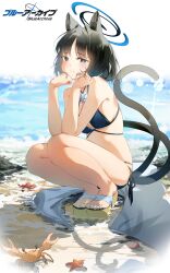 1girl absurdres animal_ear_fluff animal_ears beach bikini black_eyes black_hair blue_archive blue_bikini blush cat_ears cat_girl cat_tail closed_mouth crab flower highres kikyou_(blue_archive) kikyou_(swimsuit)_(blue_archive) looking_at_viewer moelava multiple_tails ocean official_alternate_costume parted_bangs platform_sandals sandals short_hair smile solo squatting starfish swimsuit tail toes two_tails white_flower