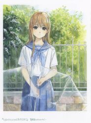 Rule 34 | absurdres, blue neckerchief, blue sailor collar, blue skirt, border, brown hair, character request, closed mouth, copyright name, cowboy shot, fence, flower, foliage, grey eyes, highres, holding, holding umbrella, horiguchi yukiko, iron fence, light smile, looking at viewer, neckerchief, novel illustration, official art, outdoors, pleated skirt, sailor collar, scan, school uniform, serafuku, shichigatsu no tamashii telomere ga tsukiru made, shirt, short sleeves, skirt, transparent, transparent umbrella, umbrella, white border, white flower, white shirt