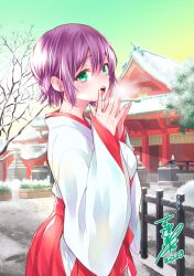 1girl 2023 breasts breath green_eyes highres japanese_clothes kakkou_no_iinazuke looking_at_viewer miko official_art open_mouth outdoors palms_together purple_hair segawa_hiro short_hair shrine signature snow solo teeth tree upper_teeth_only yoshikawa_miki