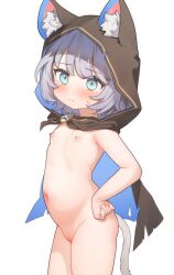 1girl absurdres animal_ears armpit_crease blue_eyes cipher_(honkai:_star_rail) freehoney grey_hair highres honkai:_star_rail honkai_(series) hood loli navel nipples pussy simple_background solo tail white_background