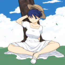 blue_eyes blue_hair blue_sky breasts character_request cloud cloudy_sky collarbone crossed_legs dress facing_viewer fire_emblem genderswap genderswap_(mtf) grass hat large_breasts nintendo one_eye_closed outdoors shoes short_hair short_sleeves sitting sky tree tsukudani_(coke-buta) white_dress white_shoes wind