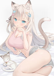 Rule 34 | 1girl, :3, akino ell, animal ear fluff, animal ears, black ribbon, blue eyes, blue shorts, blush, breasts, cat ears, cat girl, cat tail, denim, denim shorts, extra ears, fingernails, grey cat, grey hair, grey sports bra, hair ornament, hair ribbon, hairclip, heart, heart hair ornament, highres, large breasts, long hair, looking at viewer, lying, moka-chan (akino ell), navel, on side, one side up, original, paw pose, ribbon, short shorts, shorts, sports bra, sweat, tail, thighs, tongue, tongue out